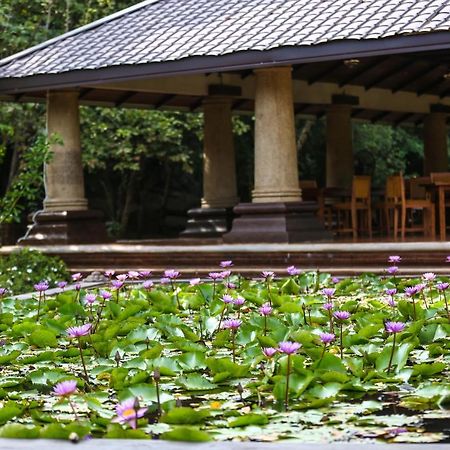 Kaveri Resort Sigiriya Exterior foto