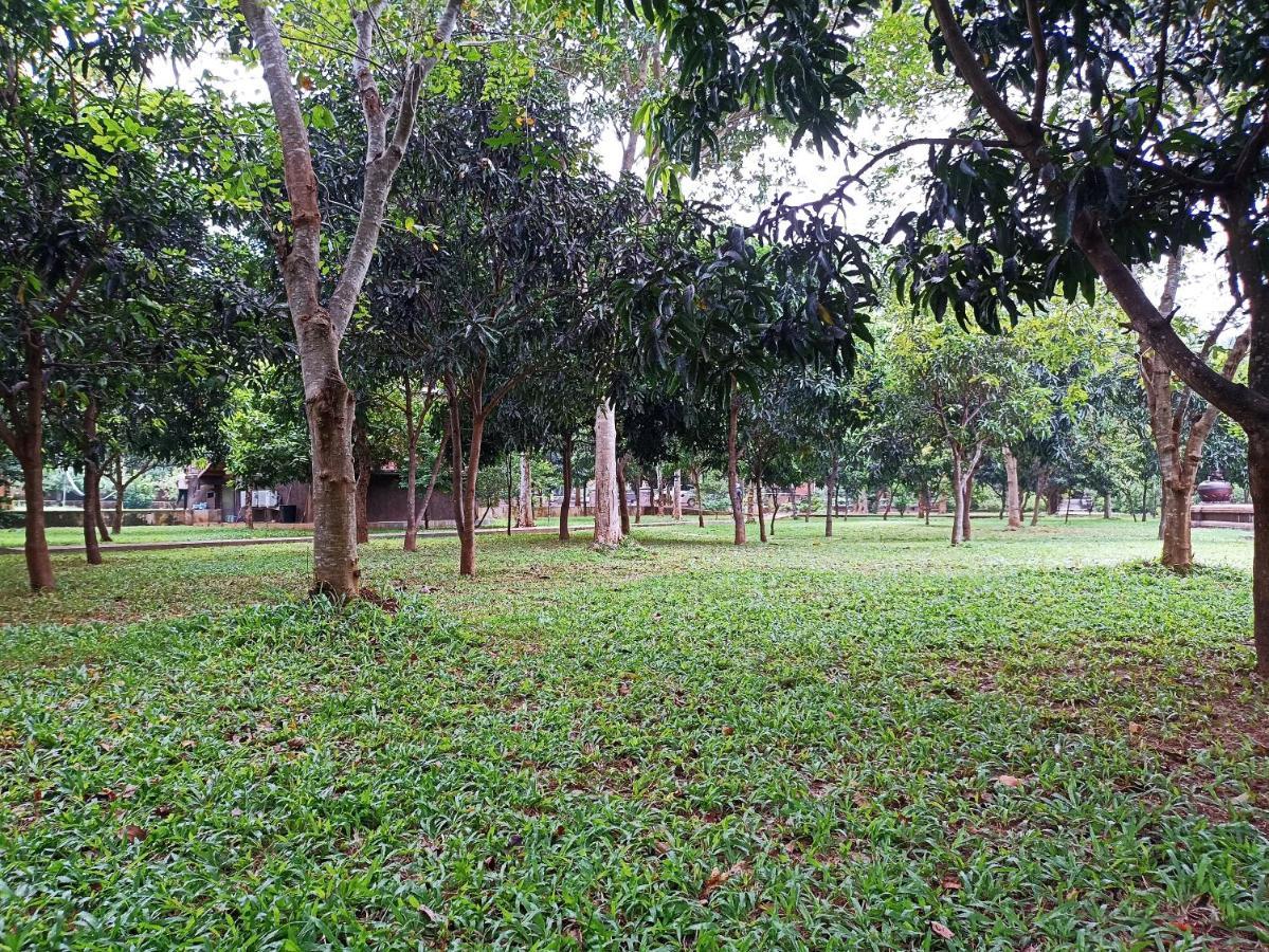 Kaveri Resort Sigiriya Exterior foto